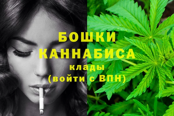 мяу мяу мука Бородино