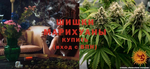 мяу мяу мука Бородино