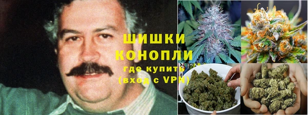 мяу мяу мука Бородино
