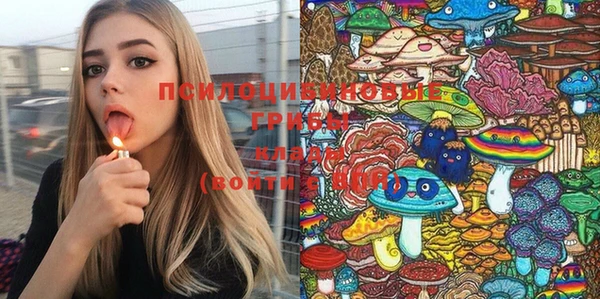 соль ск Верея