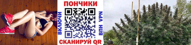 купить наркоту  Жигулёвск  Бошки Шишки White Widow 
